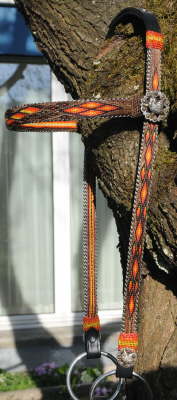 hitched_bridle_eagle_1